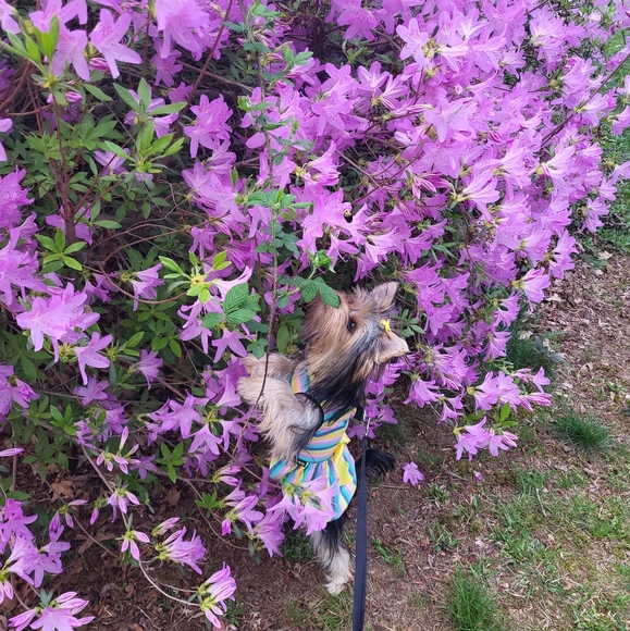 Meet your Posher, Emilse - Picture 5 of 7